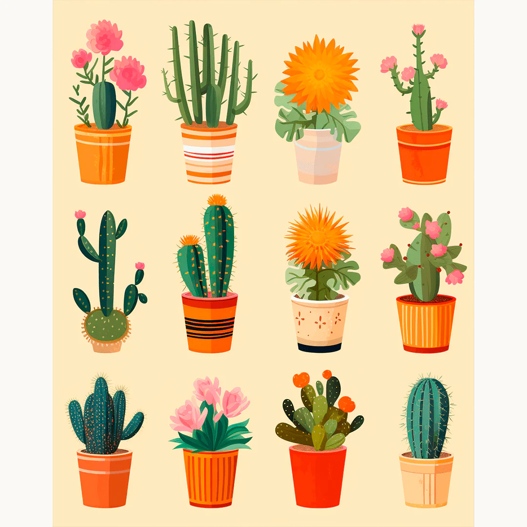 Cacti Collection - Image 2